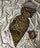 غوب شومبرا نمري 158